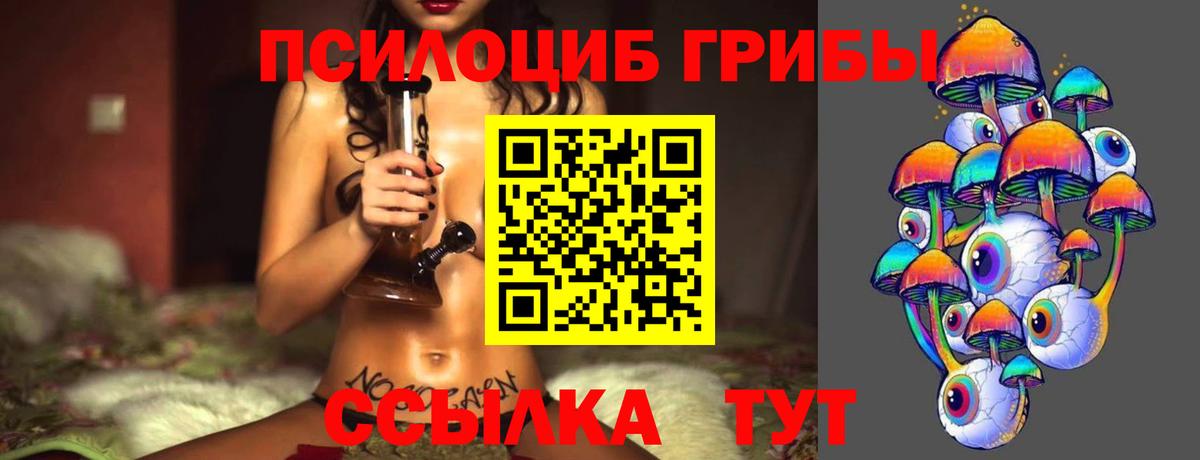Псилоцибиновые грибы Cubensis  Вход с VPN  Шебекино 