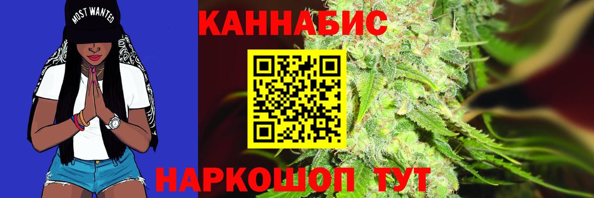 МАРИХУАНА сатива Шебекино